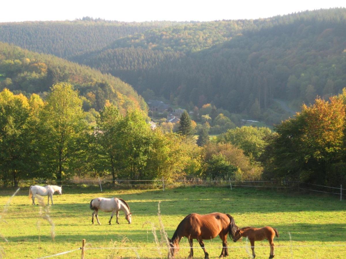וונסימונט Pretty Cottage Ardennes Near The Valley Of Lesse מראה חיצוני תמונה