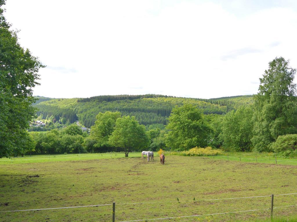 וונסימונט Pretty Cottage Ardennes Near The Valley Of Lesse מראה חיצוני תמונה